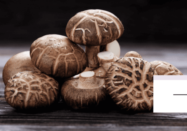 shiitake mushroom